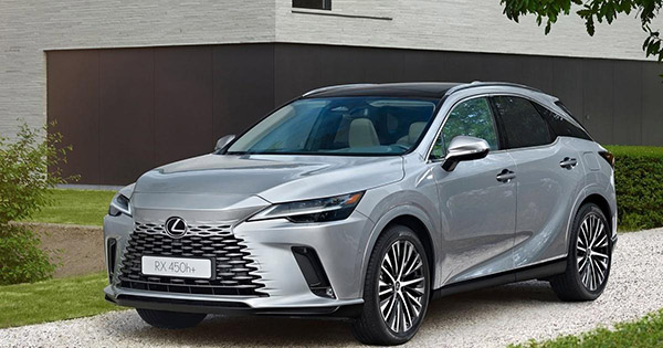 dán ppf xe ô to lexus