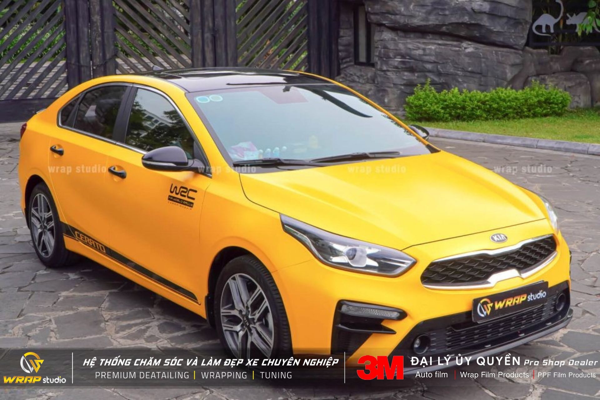 Cerato lên màu Vàng cực chất - Wrap Studio