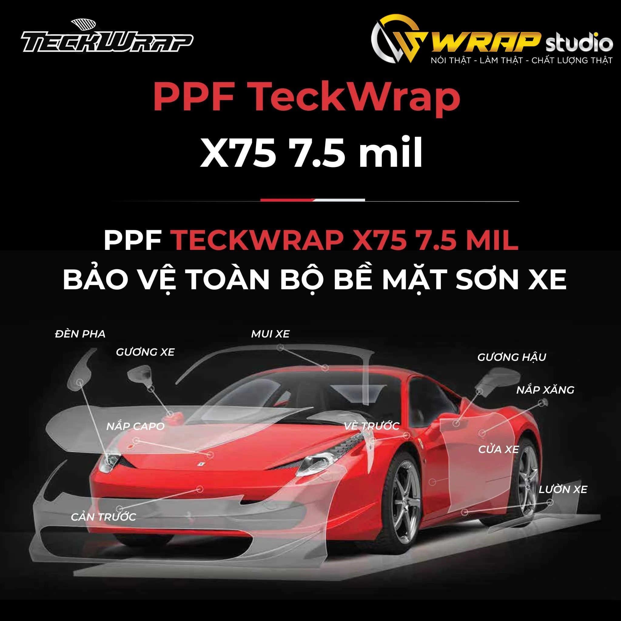 Phim PPF Teckwrap X75