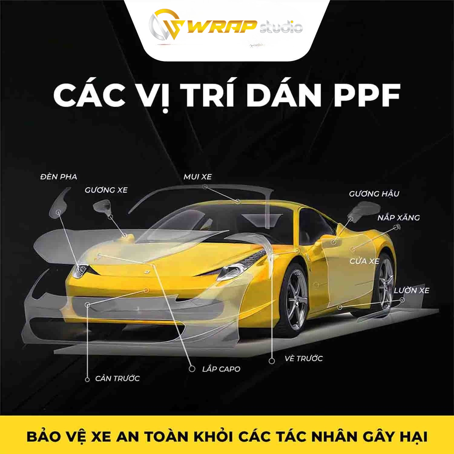 Vị trí nên dán PPF 